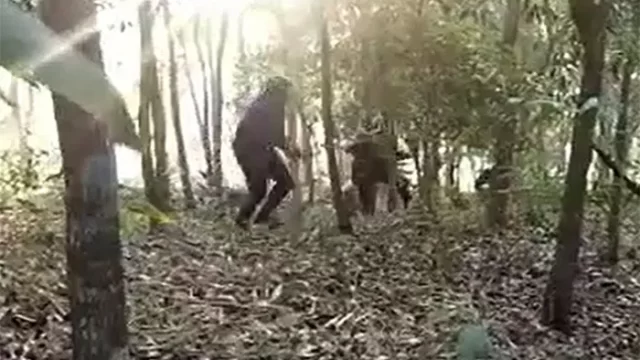গোলাগুলির পর রোহিঙ্গা ক্যাম্প থেকে ২ জঙ্গি আটক