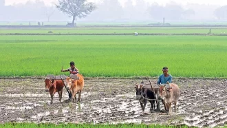 নতুন আইনে ভূমির অপরাধ কমবে কি