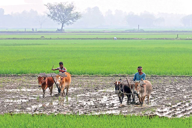 নতুন আইনে ভূমির অপরাধ কমবে কি