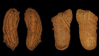 ইউরোপের প্রাচীনতম জুতা খুঁজে পেল বিজ্ঞানীরা