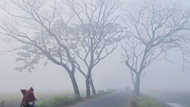 কাল থেকে সিলেটে শৈত্যপ্রবাহ, ঘন কুয়াশা থাকবে সপ্তাহজুড়ে