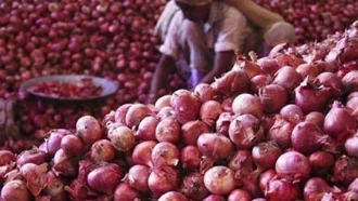 পেঁয়াজের দাম কমতে শুরু করেছে