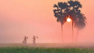 হিমেল হাওয়ায় এলো পৌষ