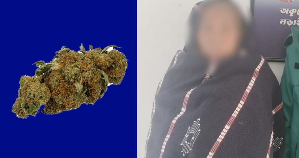 ষাট বছর বয়সে গাঁজা বিক্রি করেন হোসনা!