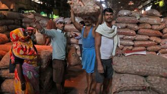 পেঁয়াজ রপ্তানিতে ভারতের অনির্দিষ্টকালের নিষেধাজ্ঞা