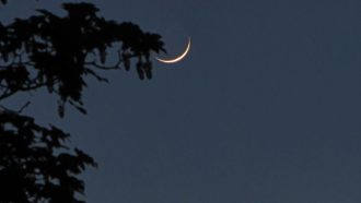 বাংলাদেশে ১১ মার্চ কি চাঁদ দেখা যাবে? যা বলছেন বিজ্ঞানীরা