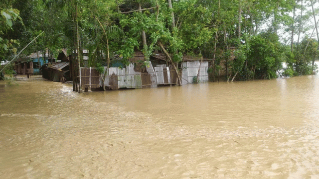 উজানের পাহাড়ি ঢলে গোয়াইনঘাট প্লাবিত