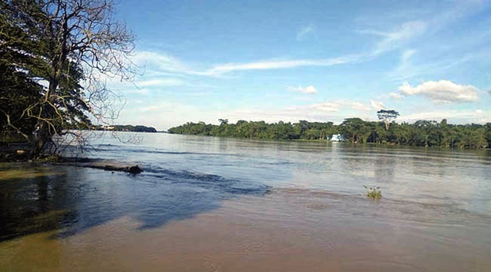 নদীতে ভাসছিলো বৃদ্ধার মরদেহ