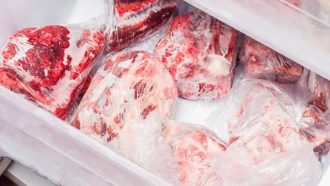 কুরবানির গোশত জমিয়ে রাখা কি জায়েজ?