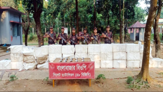 সুনামগঞ্জ সীমান্তে ২২ লাখ টাকার ইলিশ জব্দ