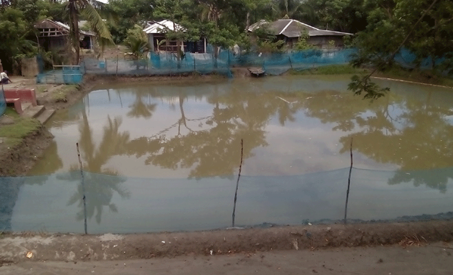 পুকুরের পানিতে প্রাণ গেলো দুই বোনের