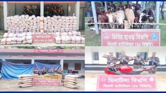 সিলেট-সুনামগঞ্জ সীমান্তে প্রায় অর্ধকোটি টাকার চোরাই পশু-পণ্য জব্দ