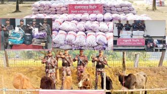 দুদিনে সীমান্তে কোটি টাকার চোরাই পণ্য জব্দ