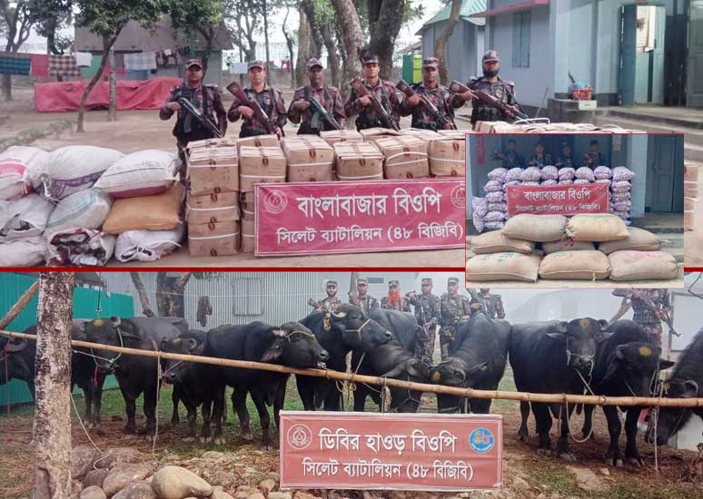 সীমান্তে প্রায় দেড় কোটি টাকার চোরাই পণ্য জব্দ