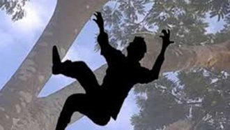 গাছ থেকে পড়ে শ্রমিকের মৃত্যু