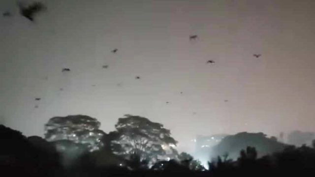 পুলিশের নিষেধাজ্ঞার পরও সিলেটে থার্টি ফার্স্ট নাইটে শব্দবাজি