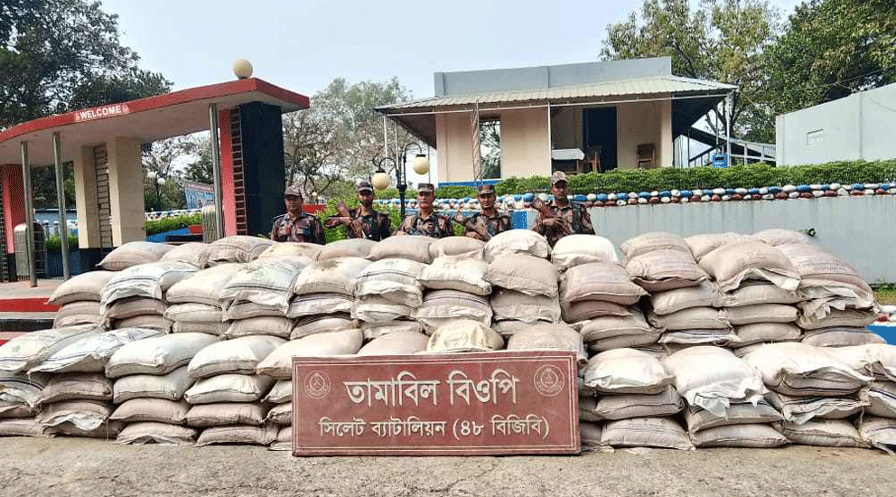 সিলেট সীমান্তে বিপুল পরিমাণ ফল-মাদক জব্দ : আটক ১