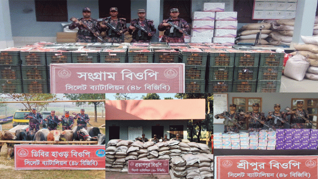 সিলেট সীমান্তে বিপুল পরিমাণ চোরাই পণ্য আটক করলো বিজিবি