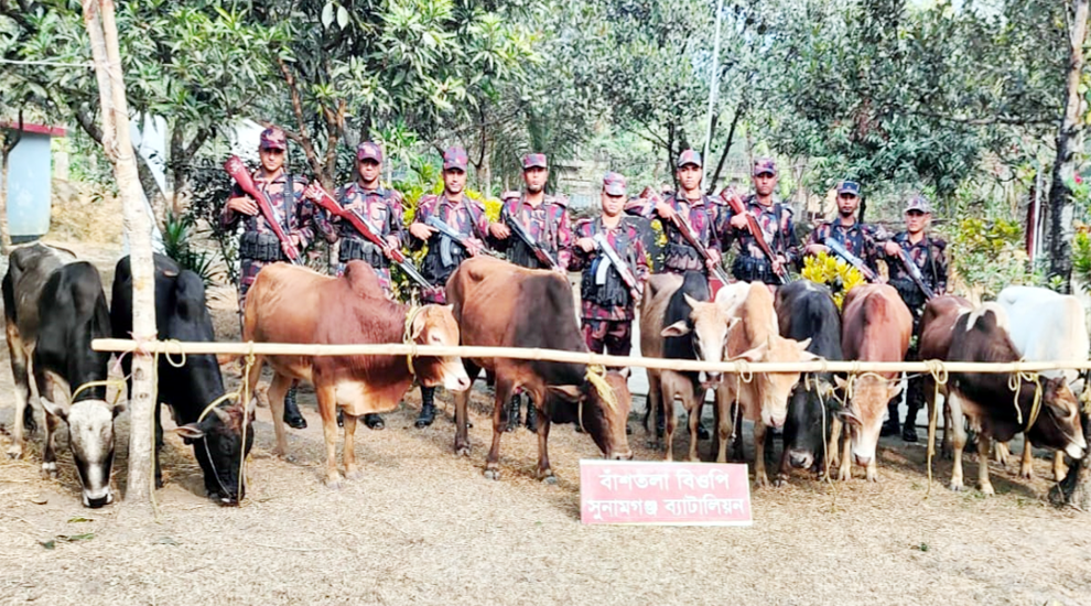 দোয়ারাবাজার সীমান্তে ১০ ভারতীয় গরু জব্দ