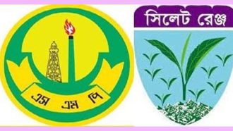 সিলেটে এক মাসে সাড়ে আটশ মামলা