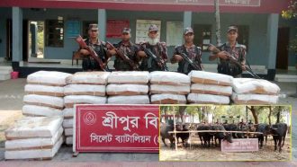 সিলেট সীমান্তে জব্দ চাল-পশু