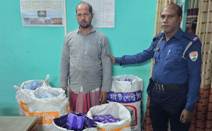 সিলেটে ‘বিস্কুট’ নিতে এসে ধরা ডাক্তার বাড়ির নাছির