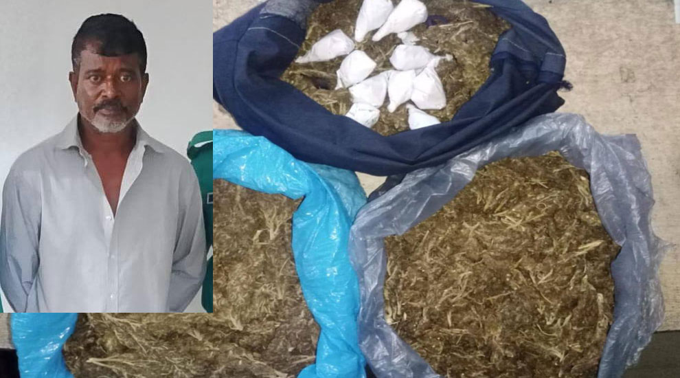 সিলেটে মাদকসহ একজনকে ধরলো পুলিশ