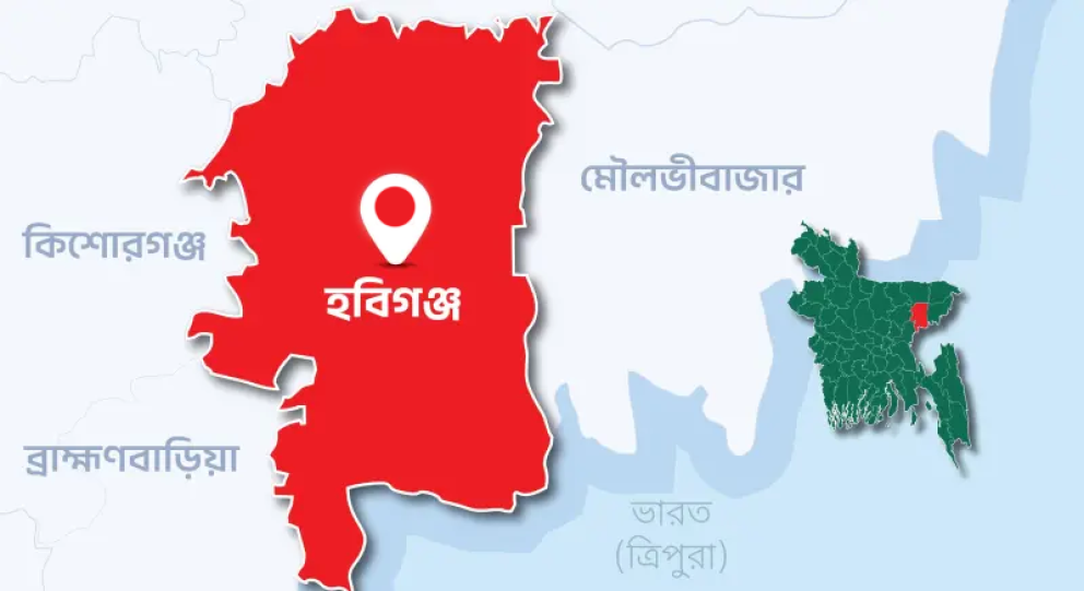 শায়েস্তাগঞ্জে অগ্নিকান্ডে ১৫টি দোকান পুড়ে ছাই : অর্ধ কোটি টাকার ক্ষতি