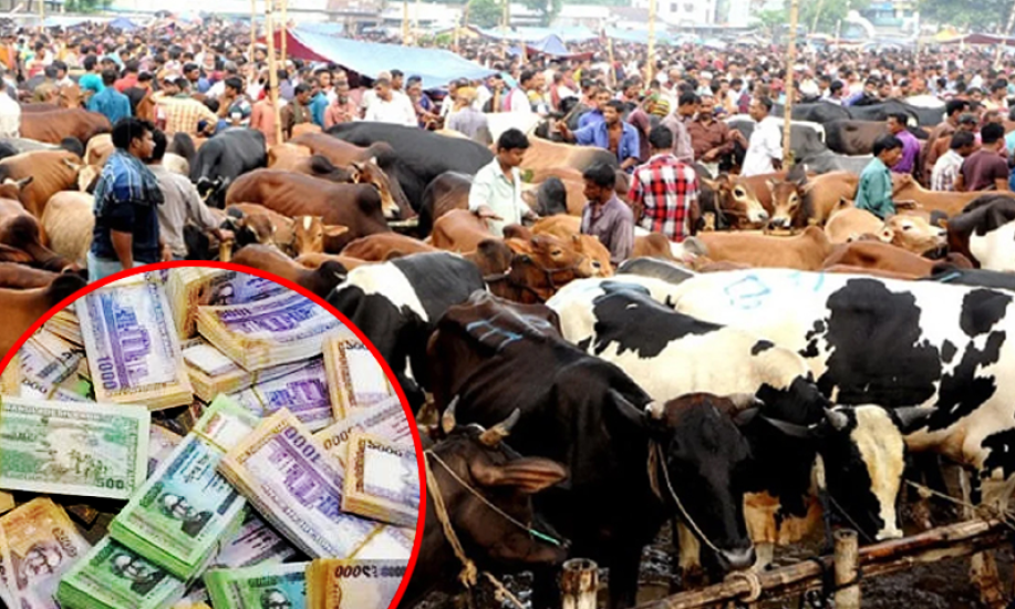 সিলেটের পশুর হাটে জাল টাকা ছড়িয়ে পড়ার শঙ্কা