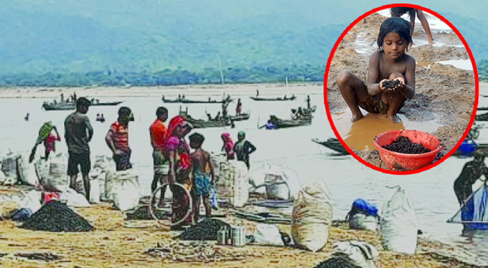 ঢল নামলেই শুরু হয় কয়লা কুড়ানোর উৎসব