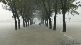 পাহাড়ি ঢলে নিম্নাঞ্চল প্লাবিত : ডুবে গেছে গোয়াইনঘাট-রাধানগর সড়ক