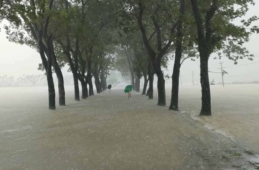 পাহাড়ি ঢলে নিম্নাঞ্চল প্লাবিত : ডুবে গেছে গোয়াইনঘাট-রাধানগর সড়ক