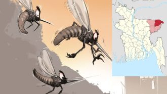 সিলেটে আবারও ডেঙ্গুর থাবা!