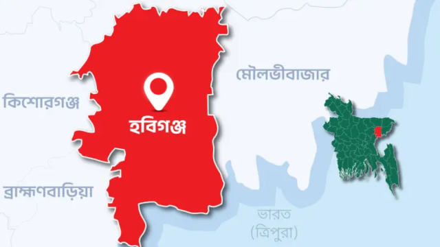 হবিগঞ্জে ১০ বছরের ভাতিজিকে কুপিয়ে খুন করল চাচা