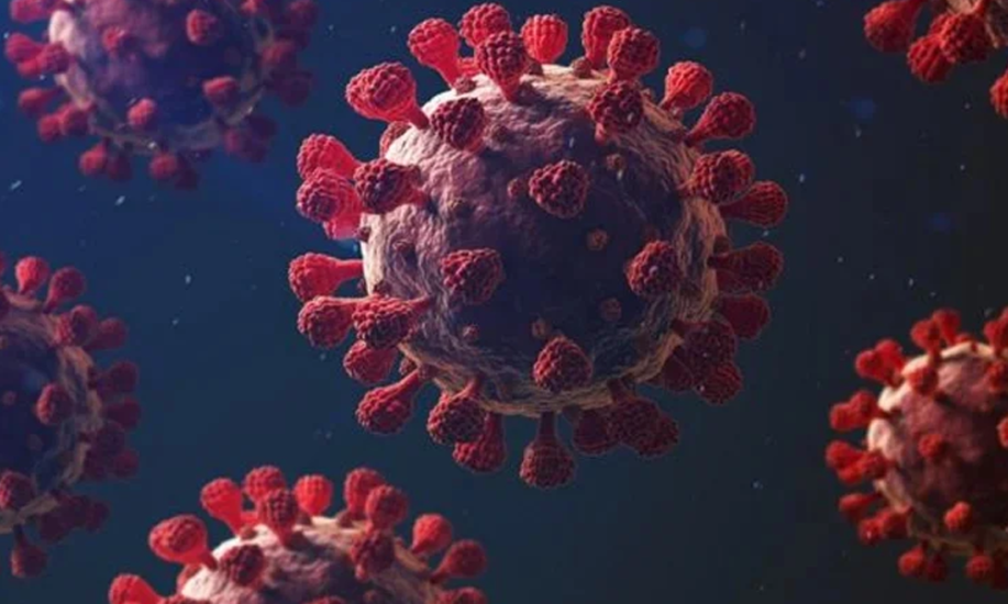 সিলেটে করোনার থাবা, একজনের অবস্থা আশঙ্কা জনক