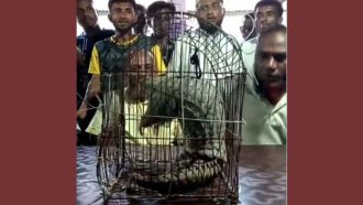 সুনামগঞ্জে বিপন্ন প্রজাতির বনরুই উদ্ধার