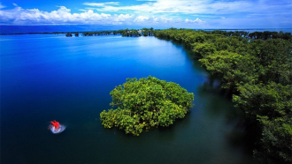 টাঙ্গুয়ার হাওরে হাউসবোটে গাঁজা সেবন : ৫ পর্যটক কারাগারে