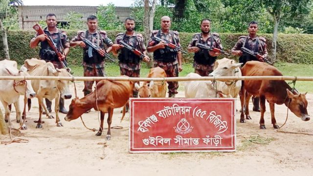 হবিগঞ্জে প্রায় দুই কোটি টাকার পণ্য জব্দ, পাওয়া গেল যা