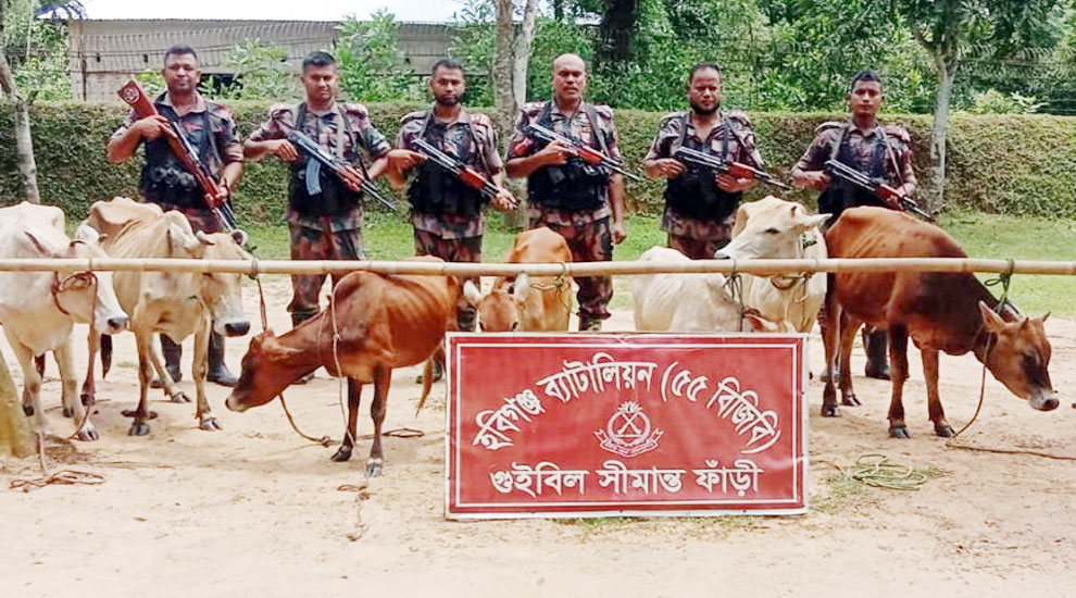হবিগঞ্জে প্রায় দুই কোটি টাকার পণ্য জব্দ, পাওয়া গেল যা