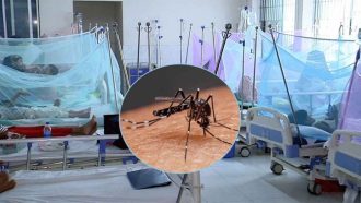 ডেঙ্গুতে একজনের মৃত্যু, সিলেটসহ সারাদেশে আক্রান্ত ২৬২