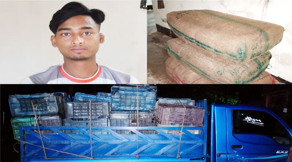 জৈন্তাপুরে সাড়ে ৭ লক্ষ টাকার ভারতীয় এলাচি জব্দ, আটক ১