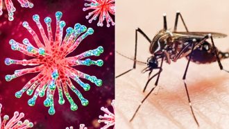 সিলেটে করোনা ও ডেঙ্গু আক্রান্তের সংখ্যা বাড়ছেই