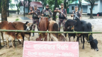 দোয়ারাবাজার সীমান্তে ১৪ লাখ টাকার চোরাই পণ্য আটক