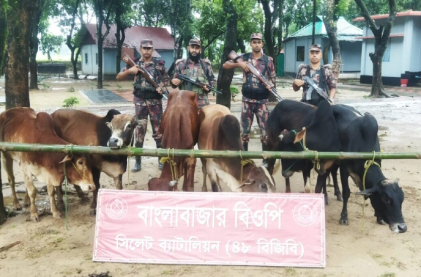 দোয়ারাবাজার সীমান্তে ১৪ লাখ টাকার চোরাই পণ্য আটক