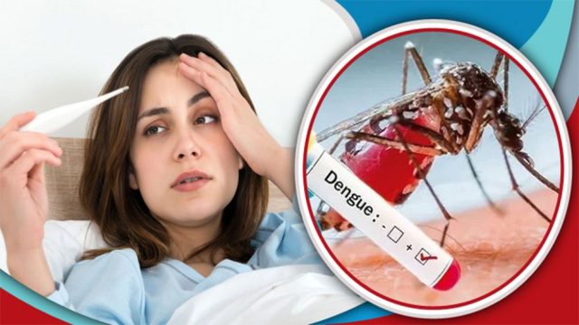 সিলেটে ডেঙ্গুর সেঞ্চুরি পার