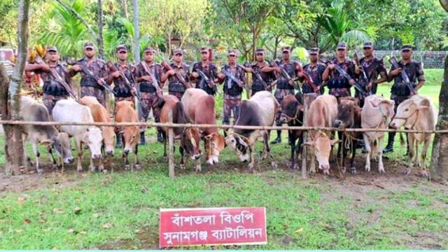 সুনামগঞ্জে যা আটক করলো বিজিবি