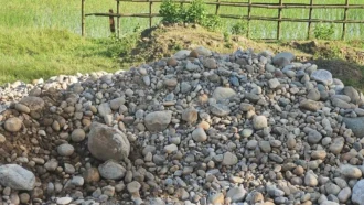 সিলেটে এবার বাসাবাড়ি-ধানক্ষেতেও মিলছে লুট হওয়া পাথর