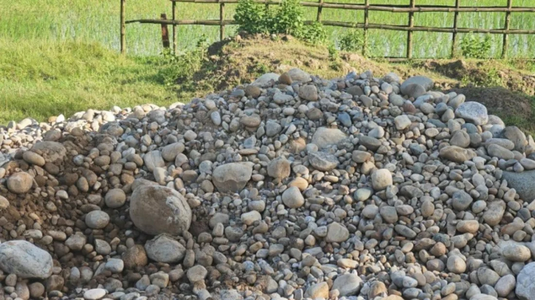 সিলেটে এবার বাসাবাড়ি-ধানক্ষেতেও মিলছে লুট হওয়া পাথর