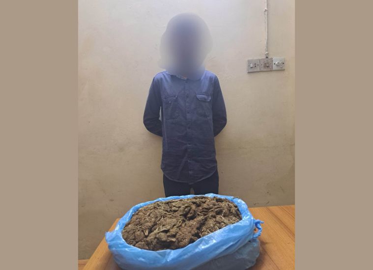 সিলেটে বিপুল পরিমাণ গাঁ-জা-র চালান জব্দ : গ্রেফতার ১