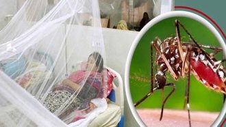 সিলেটে ডেঙ্গুর প্রকোপ বাড়ছে, সনাক্ত আরও ৩